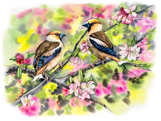 Grosbeaks on a branch with flowers. Decoration with wildlife scene. Pattern with two birds. Watercolor hand drawn illustration