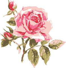 Trace vector of elegant rose