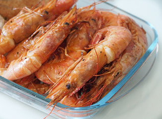 Close view of mantis shrimp tails