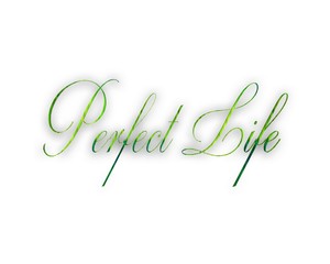 perfect life 3d wort 