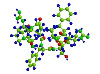 Bradykinin  - molecular structure