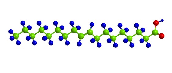 Elaidic acid - molecular structure