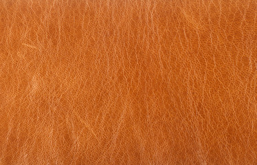Leather texture