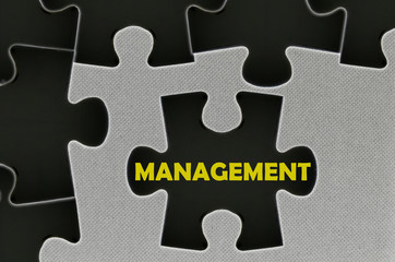 Fototapeta premium The white jigsaw puzzle written word management