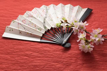 Papier Peint photo Fleur de cerisier 桜　扇子