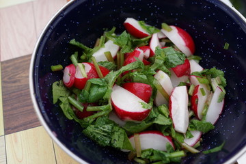 ラディッシュ　サラダ　野菜　ベジタブル