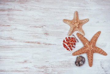 Seashells on the old white wood background