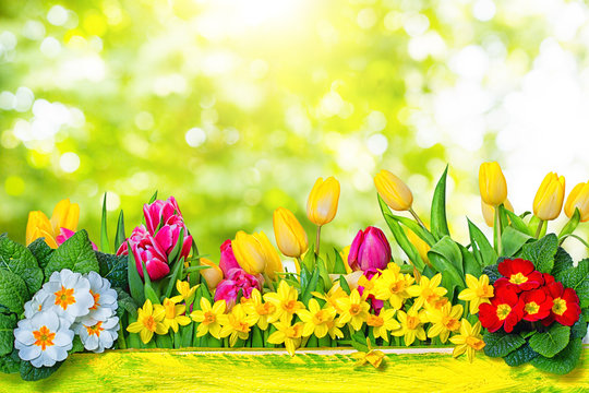 รูปภาพSpring-Time – เลือกดูภาพถ่ายสต็อก เวกเตอร์ และวิดีโอ3,592 | Adobe ...
