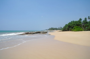 Stones on the idyllic beach in Sri Lanka.