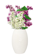 Beautiful Lilac branch in vase isolated on white