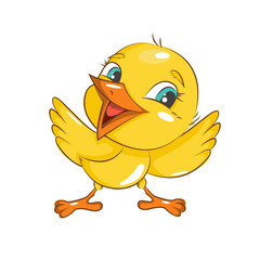  Cute little chicken . Vector isolated on white background.