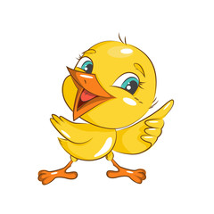 Cute little chicken . Vector isolated on white background.