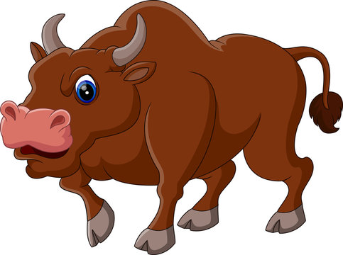 illustration of Strong bull cartoon