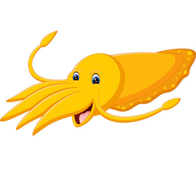 illustration of cute squid cartoon