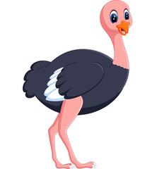 illustration of Funny ostrich cartoon