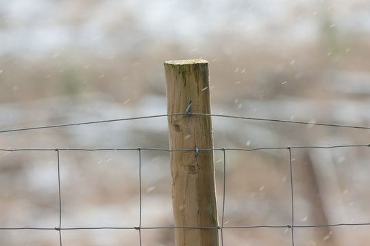 rural wooden fence post on a cold day with light snow falling