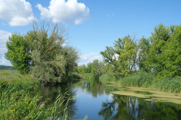 River landscape and wood