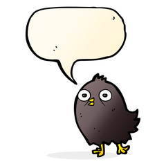 funny cartoon bird with speech bubble