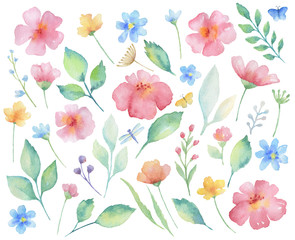 Watercolor set of flowers.