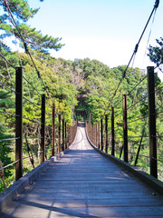 Obraz premium 伊豆高原の橋立吊橋