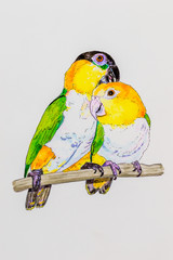 Painting of two Caique parrots