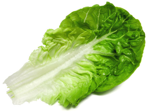 Salatblatt
