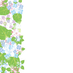 光りと緑の葉 紫陽花