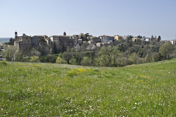 Serra de' Conti, Marche, Italia
