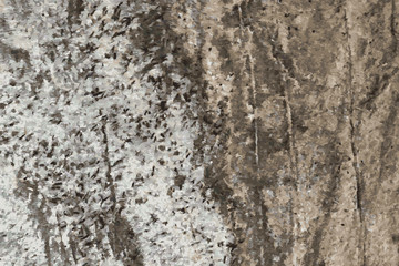 the texture of natural stone