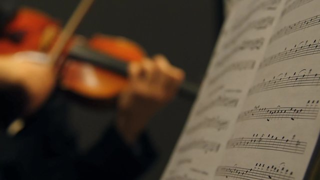 String instruments perform.