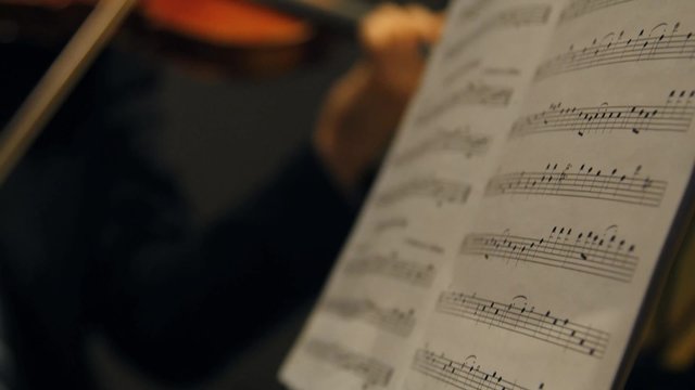 String instruments perform.