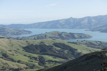 Naklejka premium Colinas verdes y costa con mar turquesa de Akaroa, Christchurch, Nueva Zelanda