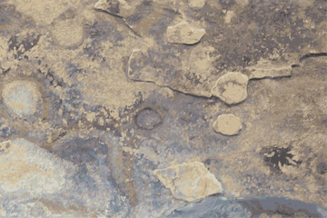 the texture of natural stone