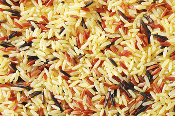 Mixed rice