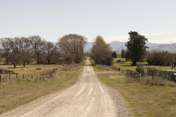 Fototapeta na wymiar Camino de tierra en una granja de la Isla Sur de Nueva Zelanda