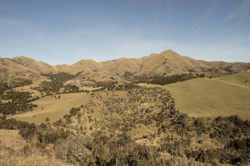 Colinas y montañas verdes con ovejas de la Isla Sur de Nueva Zelanda
