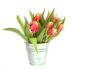 Blumentopft