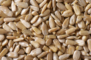 Raw sunflower seed