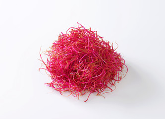 Fototapeta premium Beetroot sprouts