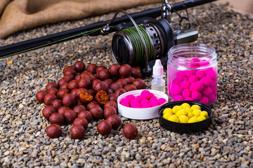 catch carp on baits