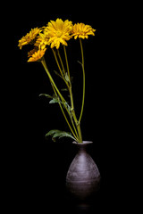 still life flowers Black background.