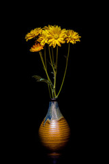 still life flowers Black background.