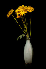 still life flowers Black background.