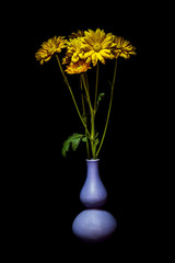 still life flowers Black background.