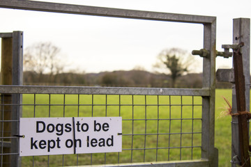 Dogs to be kept on leads