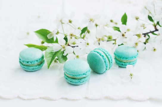 Mint macaroons and blooming cherry flowers at vintage lace doily