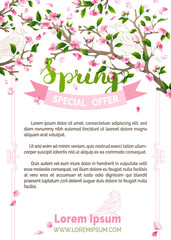 Vector spring background.