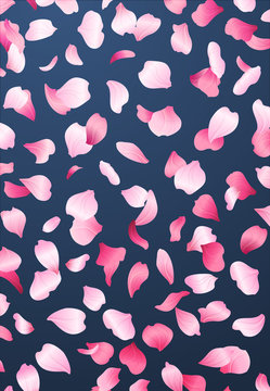 Pink rose petals background.