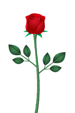 stylized rose with leaves