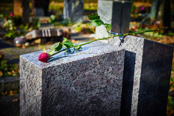 Gravestone with withered rose / Tombstone on graveyard